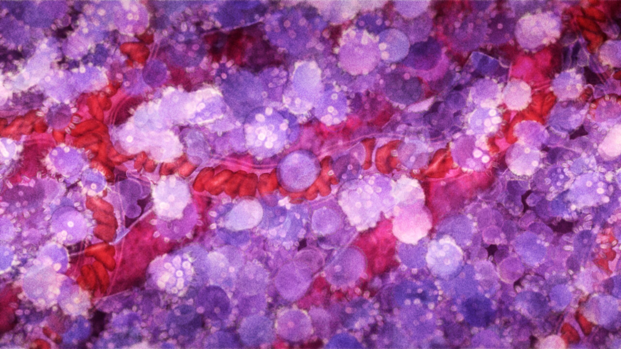 Transection through cell tissue.