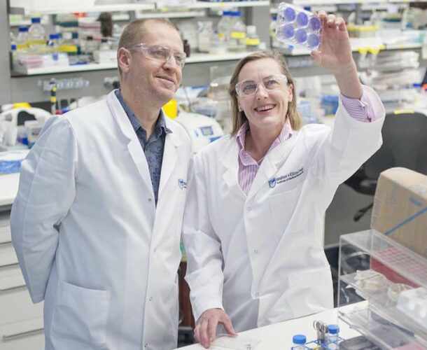 Professors Doug Hilton and Gabrielle Belz in a laboratory.