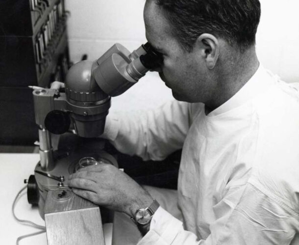 Don Metcalf operating a microscope