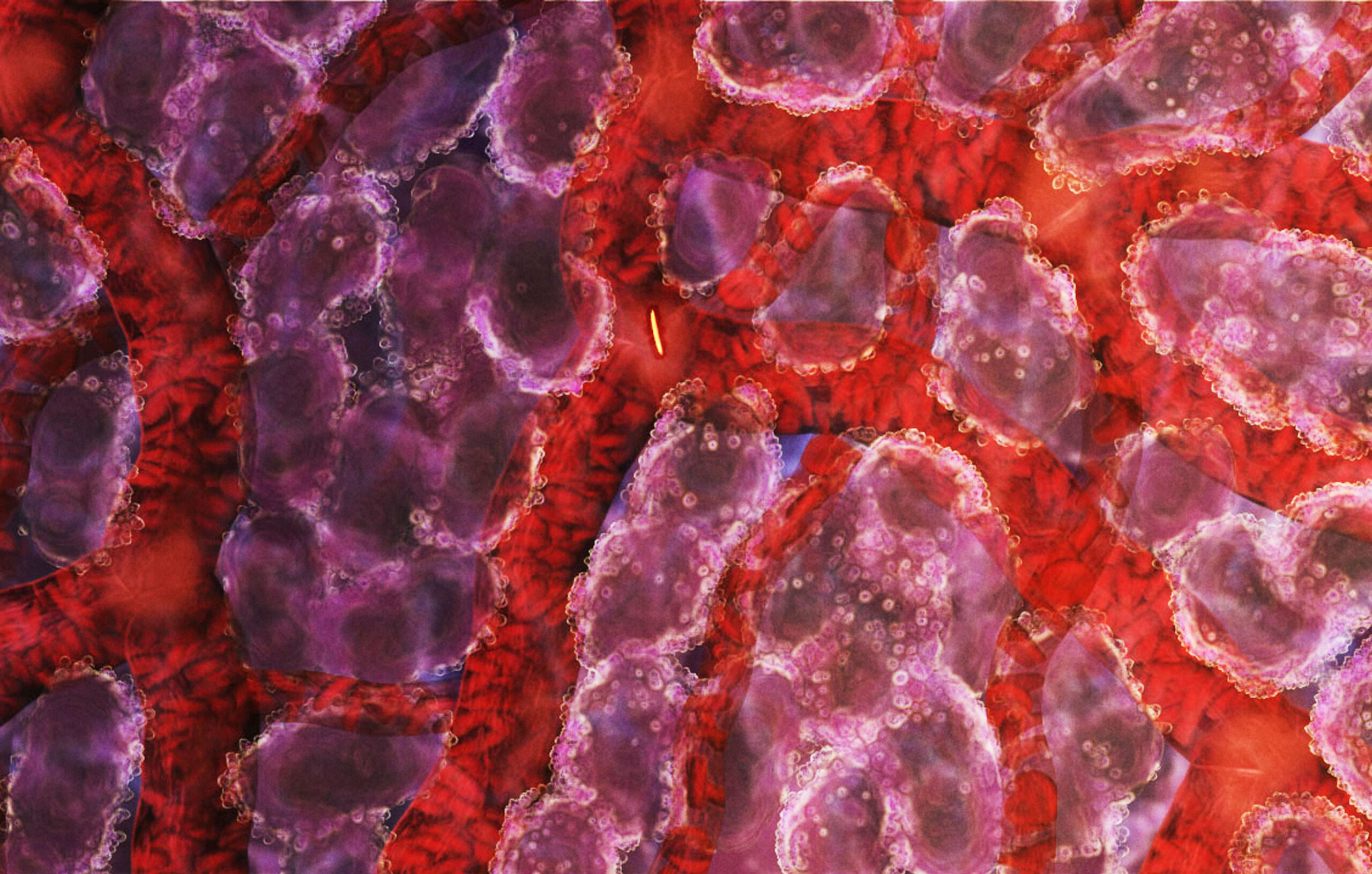 Illustration of a malaria sporozoite (green) migrating through the bloodstream of the liver.