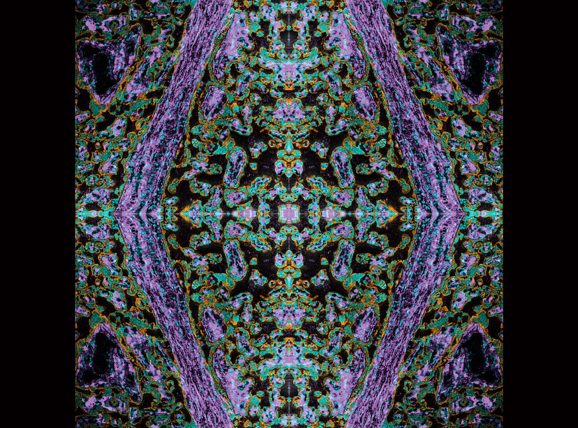 A colourful pattern visualising the immune landscape within the placenta of a pregnant woman with malaria