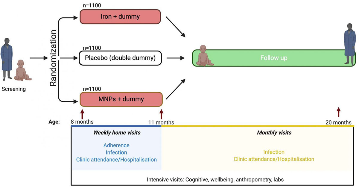 Diagram of trial processes