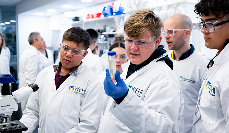 DeadlyScience Pathways Programs students conduct experiments in a WEHI laboratory