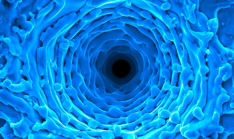 Down the Rabbit Hole